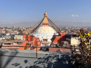 Rooftop apartment front Boudha View في كاتماندو: اطلاله على مبنى كبير بسقف +9 صور