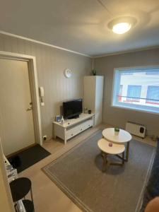 TV a/nebo společenská místnost v ubytování Sentralt leilighet