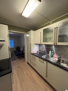 Kuchyň nebo kuchyňský kout v ubytování Sentralt leilighet