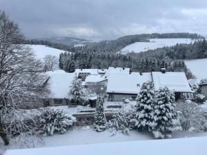 Alpina Löwen Hotel trong mùa đông