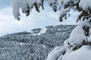 Το Park Piolets MountainHotel & Spa τον χειμώνα