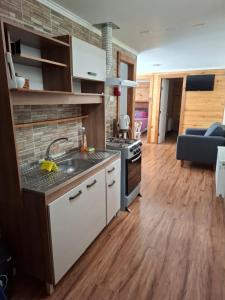a kitchen with a sink and a stove in a room at Departamento Marve in Puerto Natales