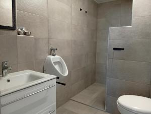 Sveti Jurij ob ŠčavniciApartment Jamna - FREE ticket Bioterme的一间带小便器、盥洗盆和卫生间的浴室 更多25张照片