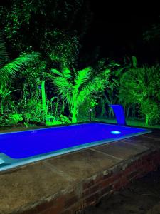 a blue swimming pool at night with palm trees at Chalé Canto dos Pássaros in Viçosa do Ceará