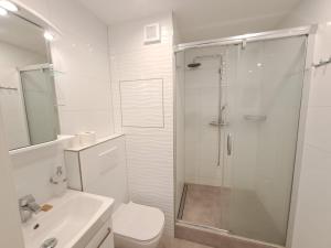 ジュジャール・ナト・サーザヴォウにあるApartmán Conventのシャワー、トイレ、洗面台を備えたバスルーム