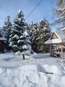 Pokoje Gościnne ZYCH - Domek v zimě
