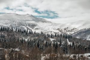 Příroda nedaleko hotelu