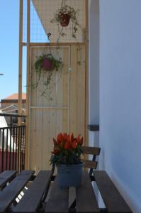 Fotografie z fotogalerie ubytování Splendor Solis Apartment v destinaci Riola Sardo