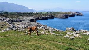 Φυσικό τοπίο κοντά σε αυτό το διαμέρισμα