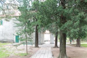 a group of trees in front of a building at Apartment Katarina in Risan