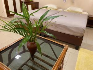 Giường trong phòng chung tại Ayurveda Spring Of Life