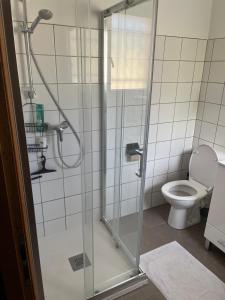 un bagno con doccia e WC di Charmante petite maison provençale a Grasse