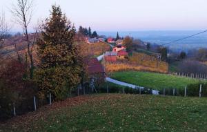 Příroda nedaleko vily