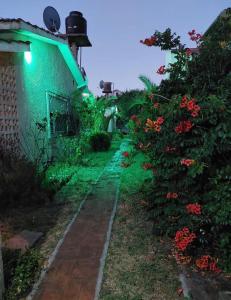 Κήπος έξω από το La Clementina 3