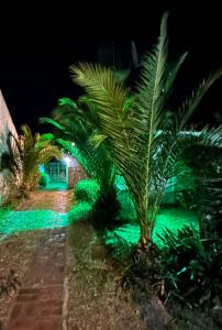 Κήπος έξω από το La Clementina 3 +15 φωτογραφίες