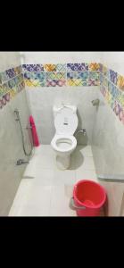 蒂鲁奇奇拉帕利Srirangam Heritage Farmhouse - Perfect Spot for Parties & Events的一间带卫生间和红色桶的浴室