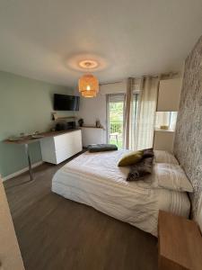 巴拉吕克莱班studio de la lagune piscine parking的一间卧室，配有一张大床和一扇窗户。