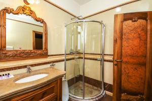 ein Badezimmer mit Dusche und Waschbecken in der Unterkunft Hotel BRILANT ANTIK City Center in Tirana