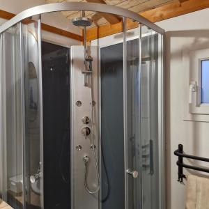 a shower with a glass door in a bathroom at Chalet Jonquille 1 in Plombières-les-Bains