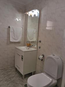 a bathroom with a toilet and a sink and a shower at Ribeira Brava Studios - L in Ribeira Brava +22 photos