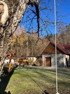 Příroda nedaleko vily + 14 fotografií