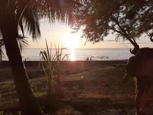 Příroda nedaleko prázdninového domu