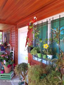 eine Veranda mit vielen Topfpflanzen darauf in der Unterkunft La casita de Marga in Concordia