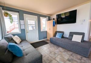 Μια τηλεόραση ή/και κέντρο ψυχαγωγίας στο Chalet for 7 people - Waterfront - Spa - Fireplace +51 φωτογραφίες