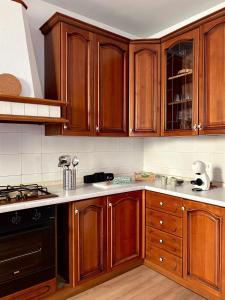 Η κουζίνα ή μικρή κουζίνα στο Da Vinci House