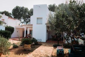 a white house with a courtyard in front of it at Ca Margarita in Benegida