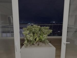 a plant sitting on top of a balcony at night at Sitari Condo Bacolod in Bacolod