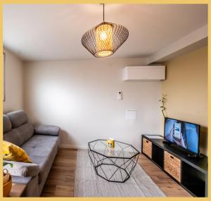 a living room with a couch and a television at Chez Anaïs I T1 I Sauverny in Sauverny