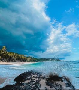 Φυσικό τοπίο κοντά σε αυτό το bed & breakfast