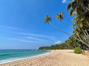 einen Sandstrand mit Palmen und dem Meer in der Unterkunft Ocean's Whisper in Tangalle