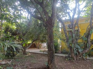 Zahrada ubytování Serena Nirvana