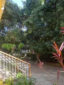 Zahrada ubytování Serena Nirvana