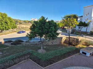 un parc avec un arbre et un mur en pierre dans l'établissement Donna Olympia's House, à Sucina