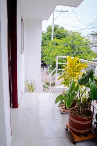 Балкон или терраса в Aparta Estudio Amoblado 1 a 3 Personas