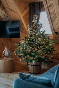 TV a/nebo společenská místnost v ubytování Apartamenty Tatra Loft