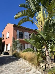 een huis met palmbomen ervoor bij Villa Terra Alba in Le Lavandou