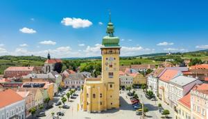 an aerial view of a town with a clock tower at Landhotel Schustermühle in Seefeld-Kadolz