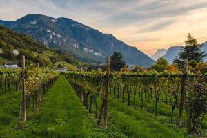 Φυσικό τοπίο κοντά σε αυτή η παραθεριστική κατοικία