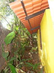 Zahrada ubytování Vatika House