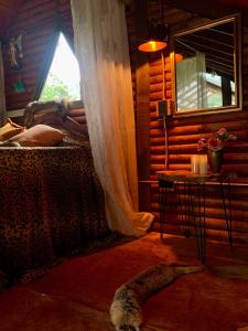 a dog laying on the floor in a room with a window at Cabaña Caballo Dorado in Guarne