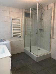 eine Dusche mit Glastür im Badezimmer in der Unterkunft Le cocon in Hambach + 20 Fotos