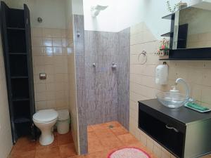 ein Badezimmer mit Dusche, Toilette und Waschbecken in der Unterkunft Open House Timboré in São Paulo