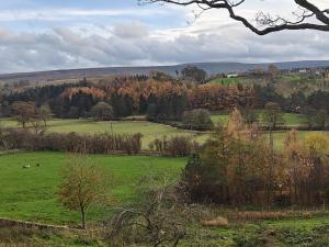 a green field with trees and animals in it at 2 Bed in Castleton oc-p34012 in Castleton