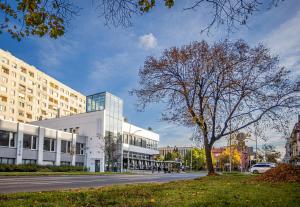 budynek z drzewem przed ulicą w obiekcie Hostel OPEN GARDEN w mieście Częstochowa