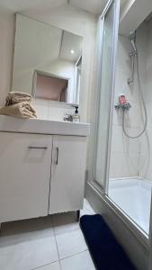 Casa Del Saint Paul في سان بول دي فينس: حمام أبيض مع دش ومغسلة