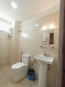 加德满都Himalayan Laligurans Apartments的带马桶和水槽的浴室